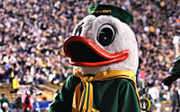 How To Bet On The Oregon Ducks
